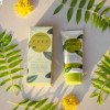 Матуючий бб крем із зеленим чаєм FarmStay Green Tea Seed Pure Anti Wrinkle BB Cream