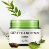 Увлажняющий крем с экстрактом зеленого чая Scinic Green Tea Moisture Cream