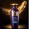 Укрепляющий шампунь для чувствительной кожи головы Ryo Jayang Anti-Hair Loss Shampoo